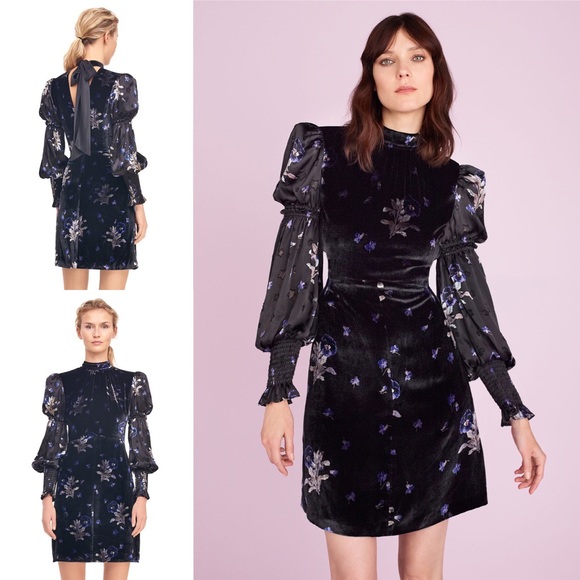 rebecca taylor velvet dress